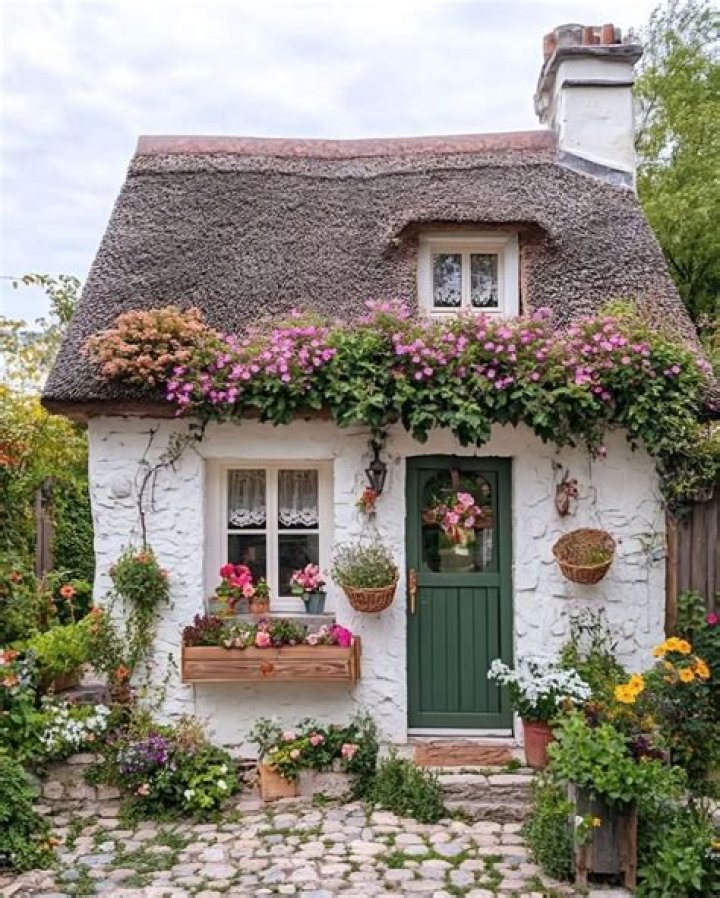 Bianca Peters – Celebsgraphy