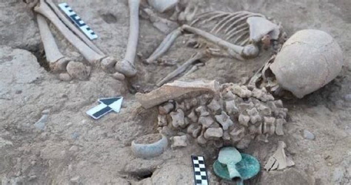 Bronze Age Girl Buried With Animal Bones Found In Kazakhstan