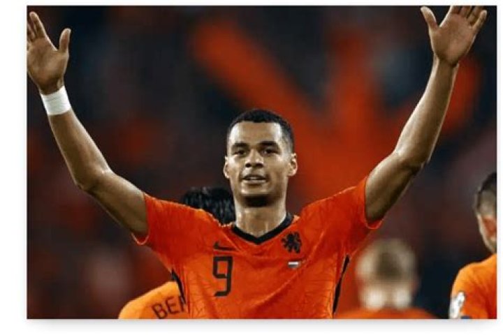 How tall is Cody Gakpo