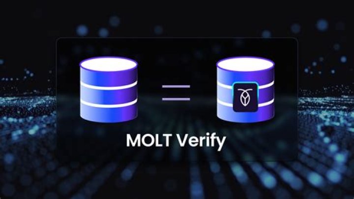 MOLT Youtuber overview