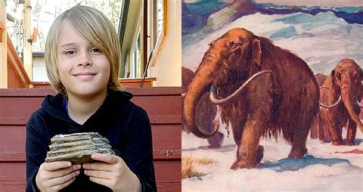 Oregon 9-Year-Old Finds Mammoth Tooth While Playing Outside