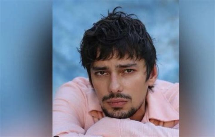 What Happened to Canadian Actor?